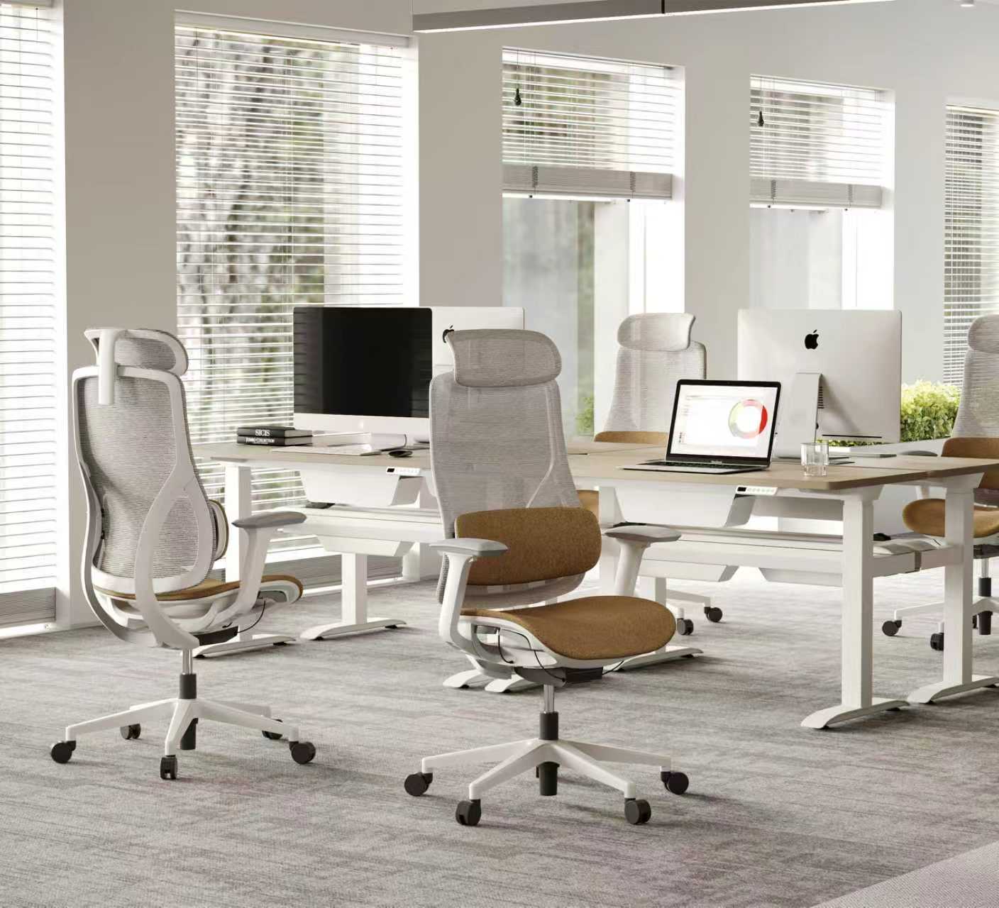 Dual Back Support for Every Preference